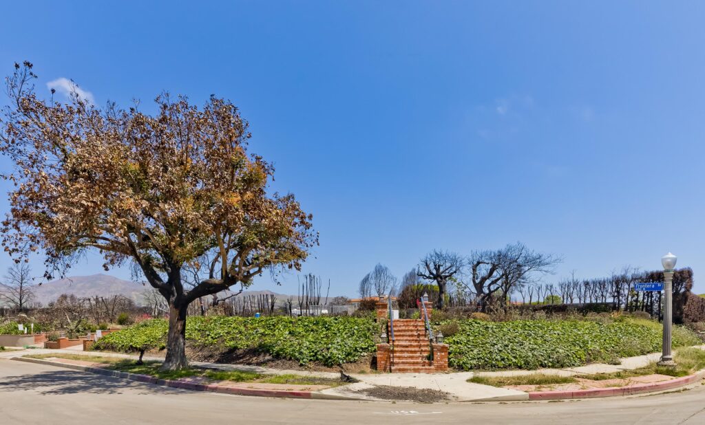 600 Frontera Dr