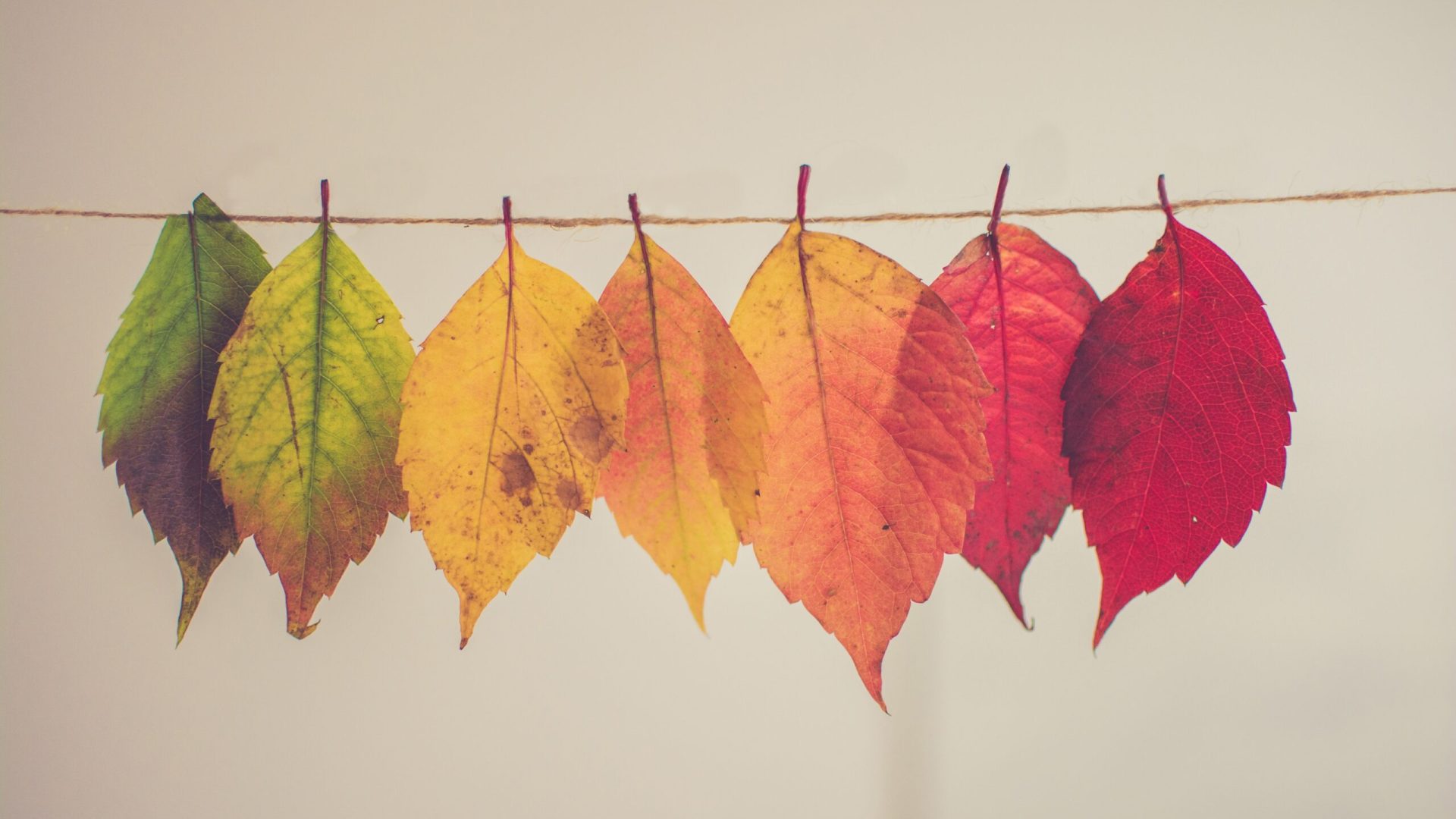 CHANGING SEASONS