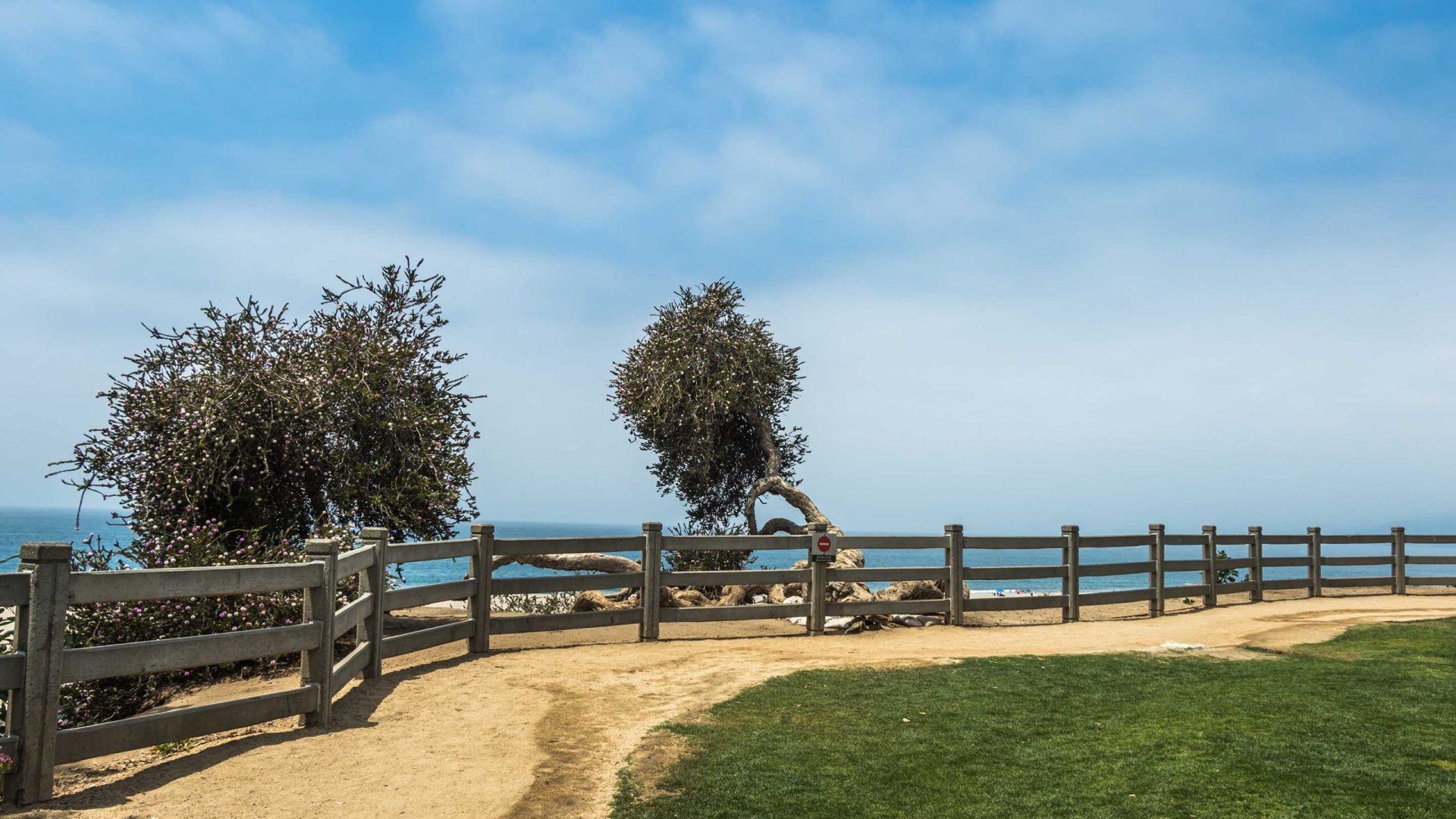 Landscape of tree, blue sky, white sand and ocean